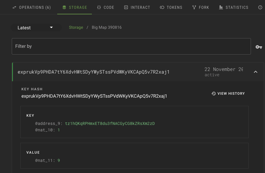 The block explorer's Storage tab, showing the account address and the quantity of a token it owns